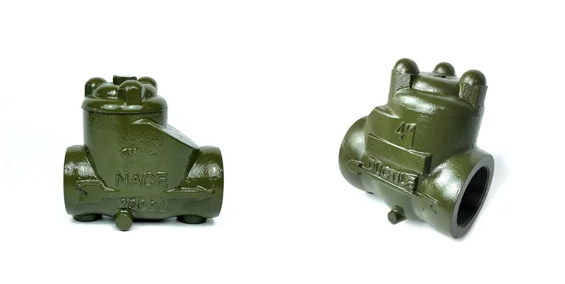 NPT Check Valve